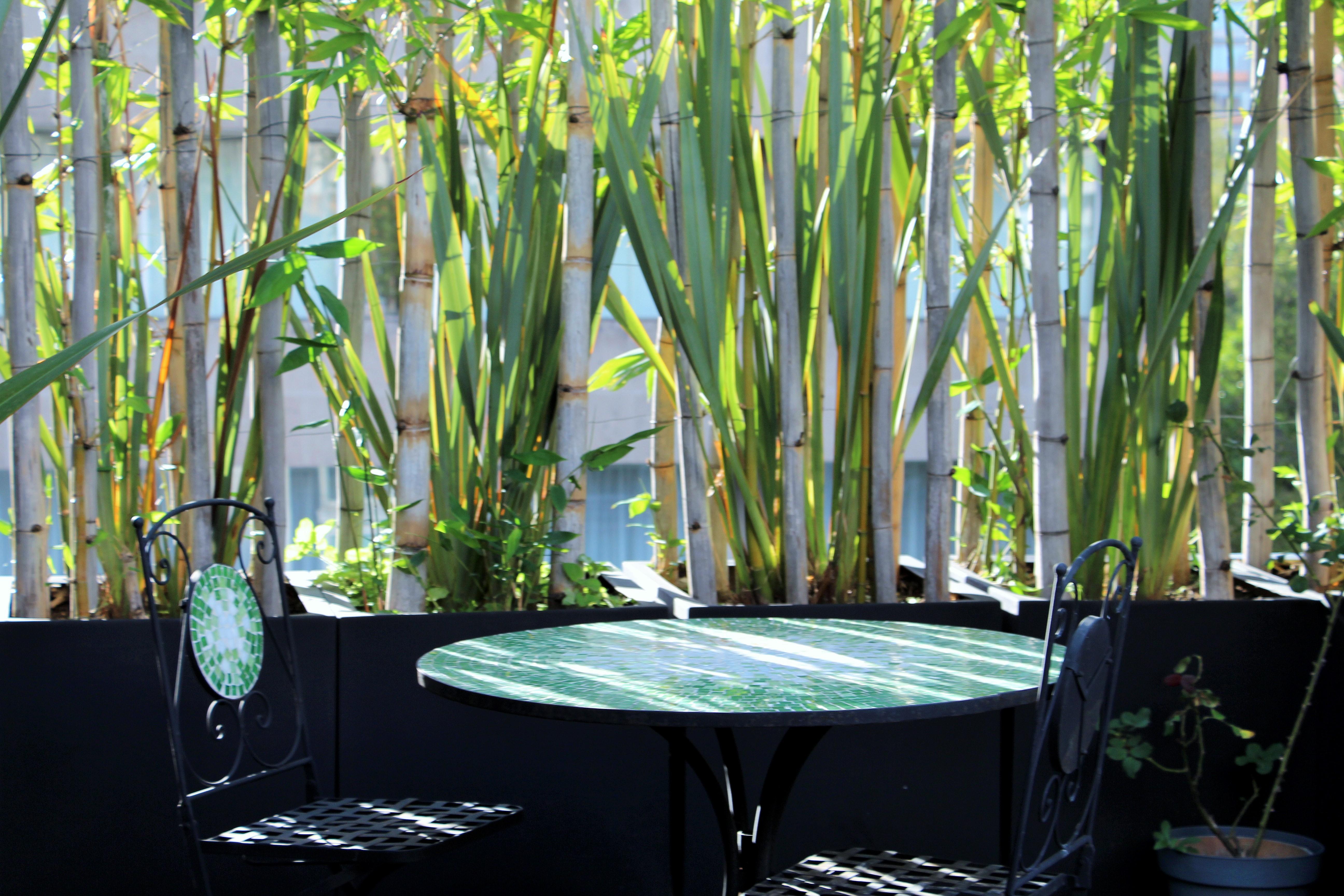 Residence L' Heritage Hipolito Taine By Bluebay Mexico City Exterior photo
